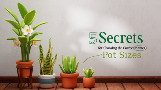 5 Secrets for Choosing the Correct Planter Pot Sizes