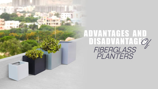Advantages and Disadvantages of Fiberglass Planters