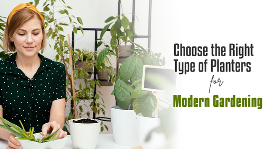 Choose the right type of planters for modern gardening