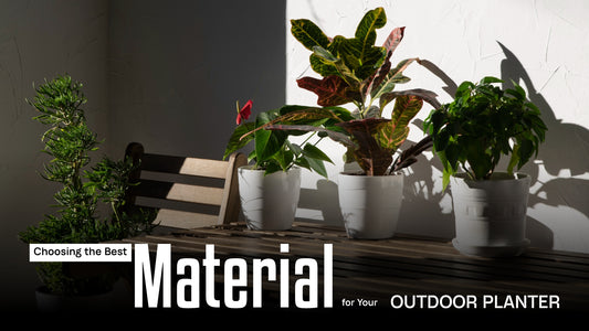Choosing the Best Material for Your Outdoor Planter