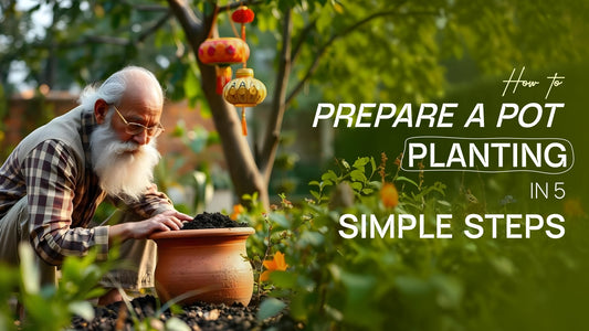 How to Prepare a Pot for Planting in 5 Simple Steps