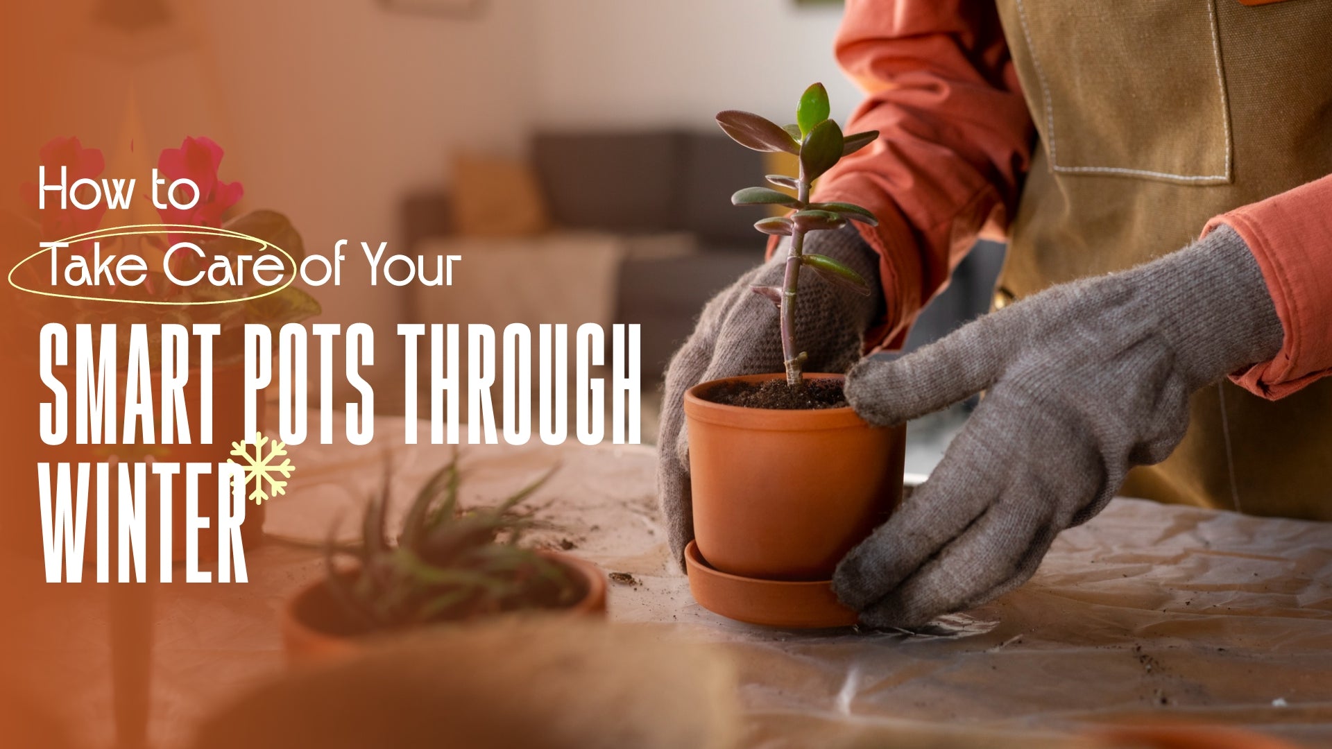 How to Take Care of Your Smart Pots Through Winter