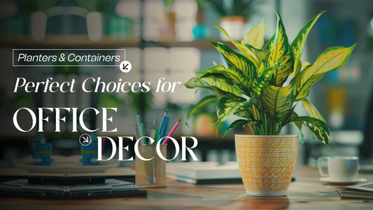 Planters & Containers: Perfect Choices for Office Decor