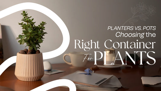 Planters vs. Pots: Choosing the Right Container for Plants