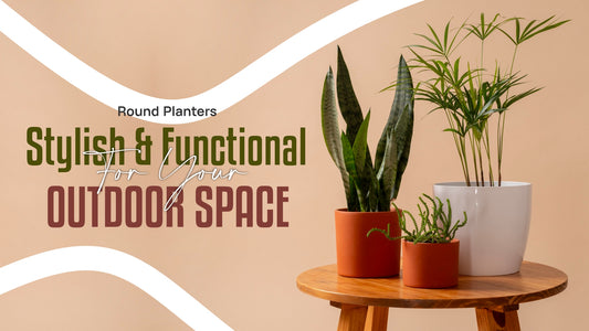 Round Planters: A Stylish and Functional Addition to Your Outdoor Space