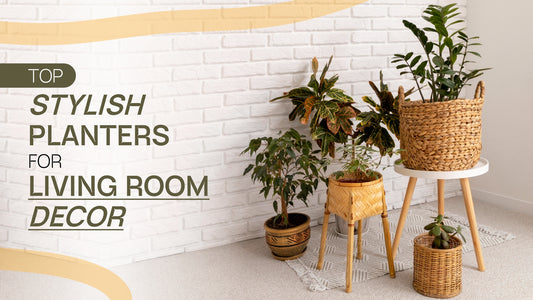 Top Stylish Planters For Living Room Decor