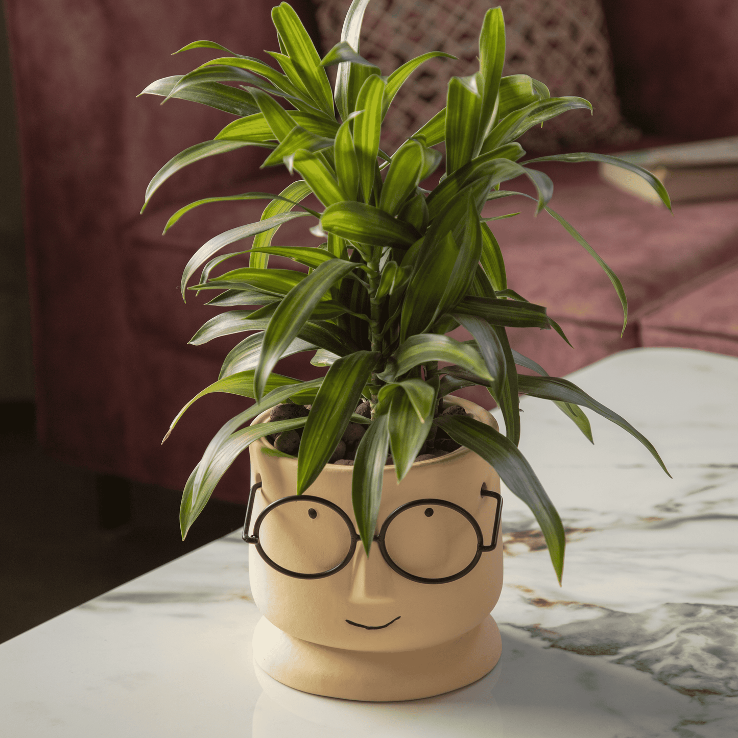 Potter Ceramic Succulent Pots