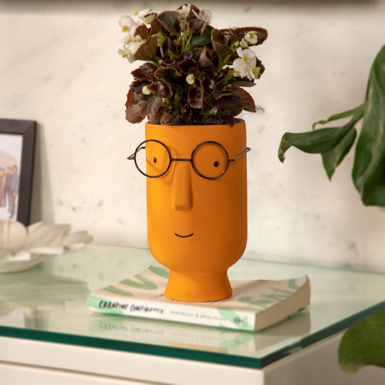 Potter Big Ceramic Pots For Indoor Plants