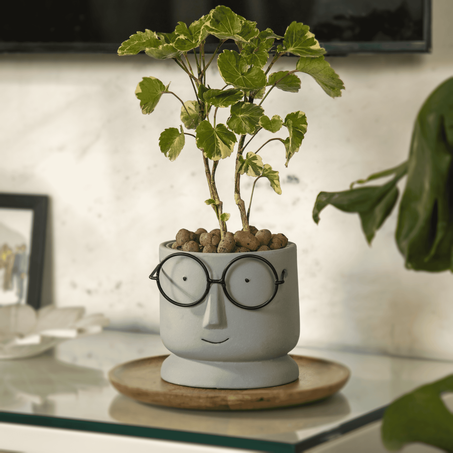 Potter Ceramic Succulent Pots