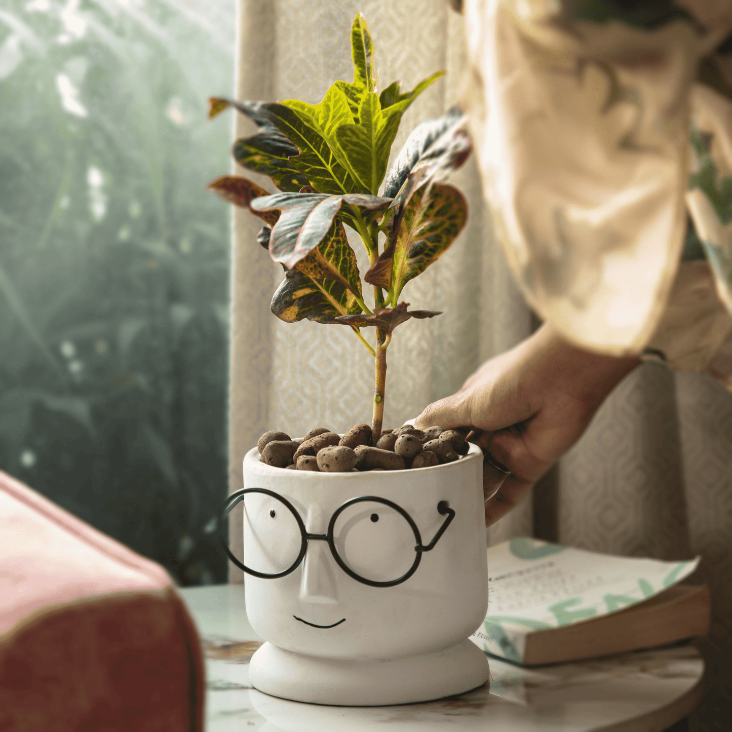 Potter Ceramic Succulent Pots