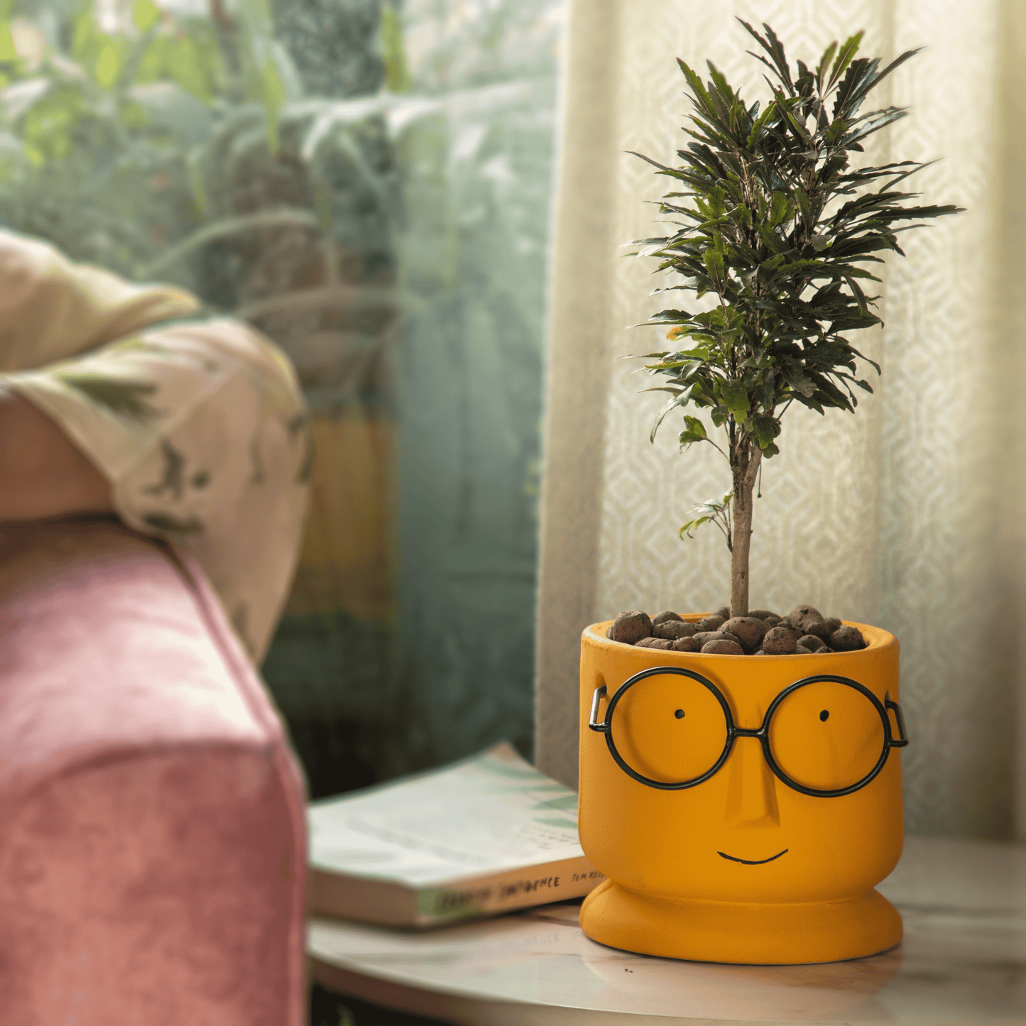 Potter Ceramic Succulent Pots