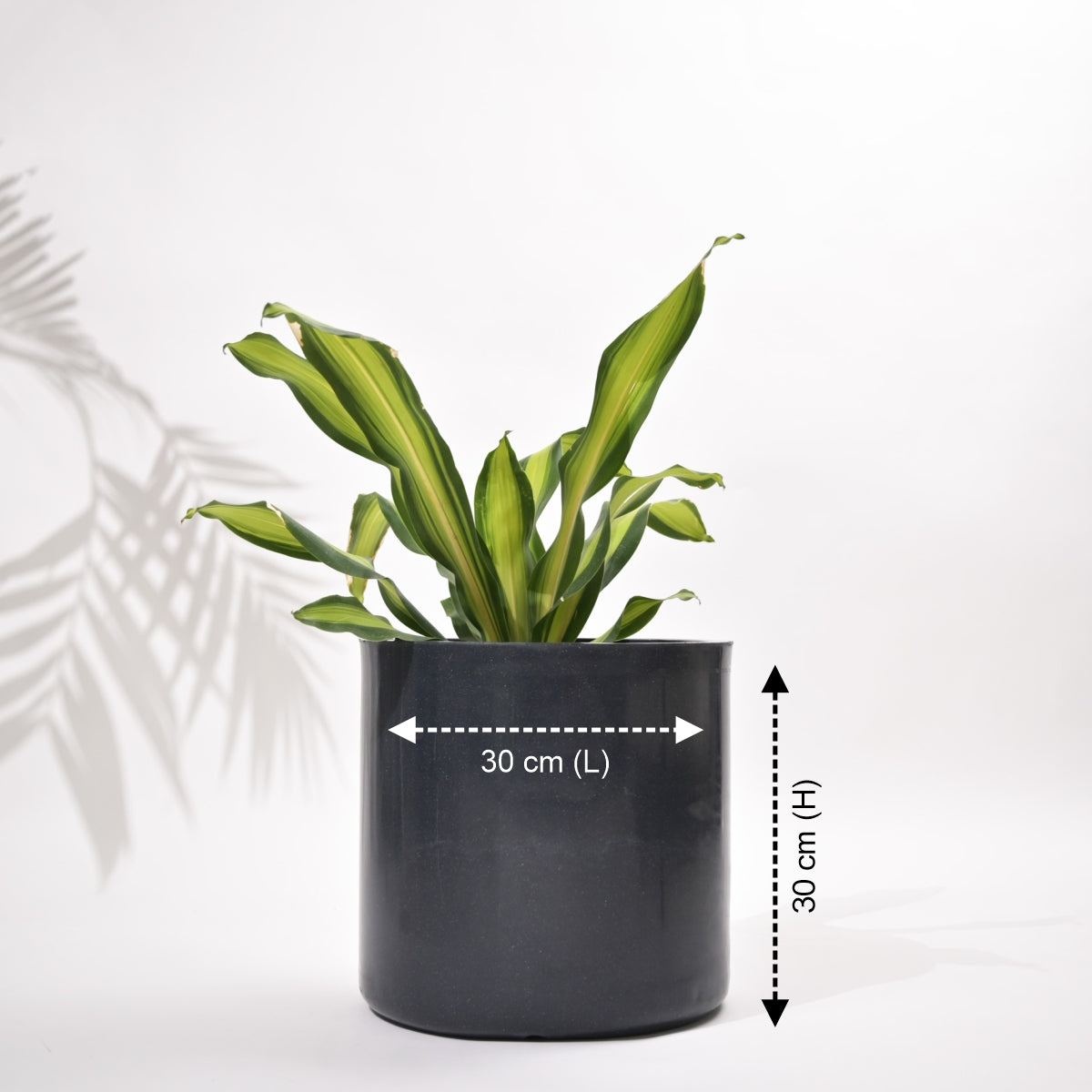 Cubical Round Big Flower Pot For Living Room