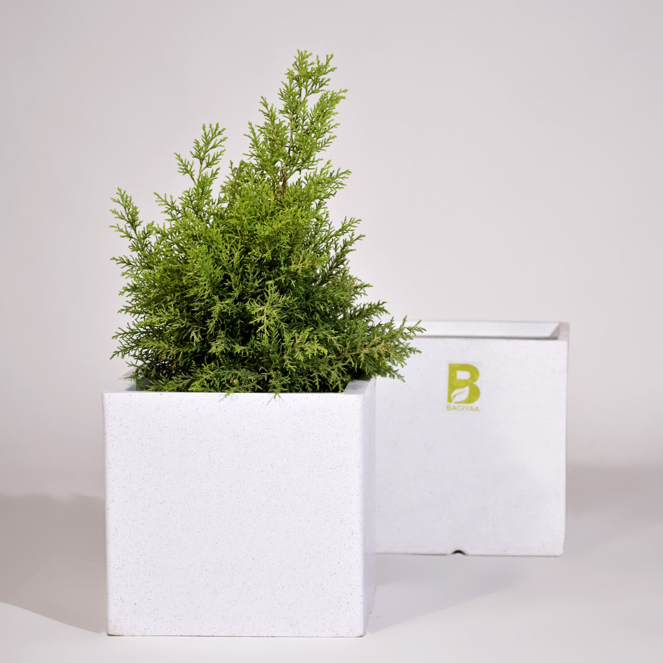 Cubical Square Flower Pot