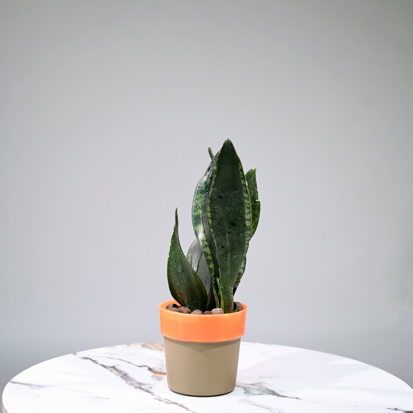 Ringer Table Planter For Bedroom