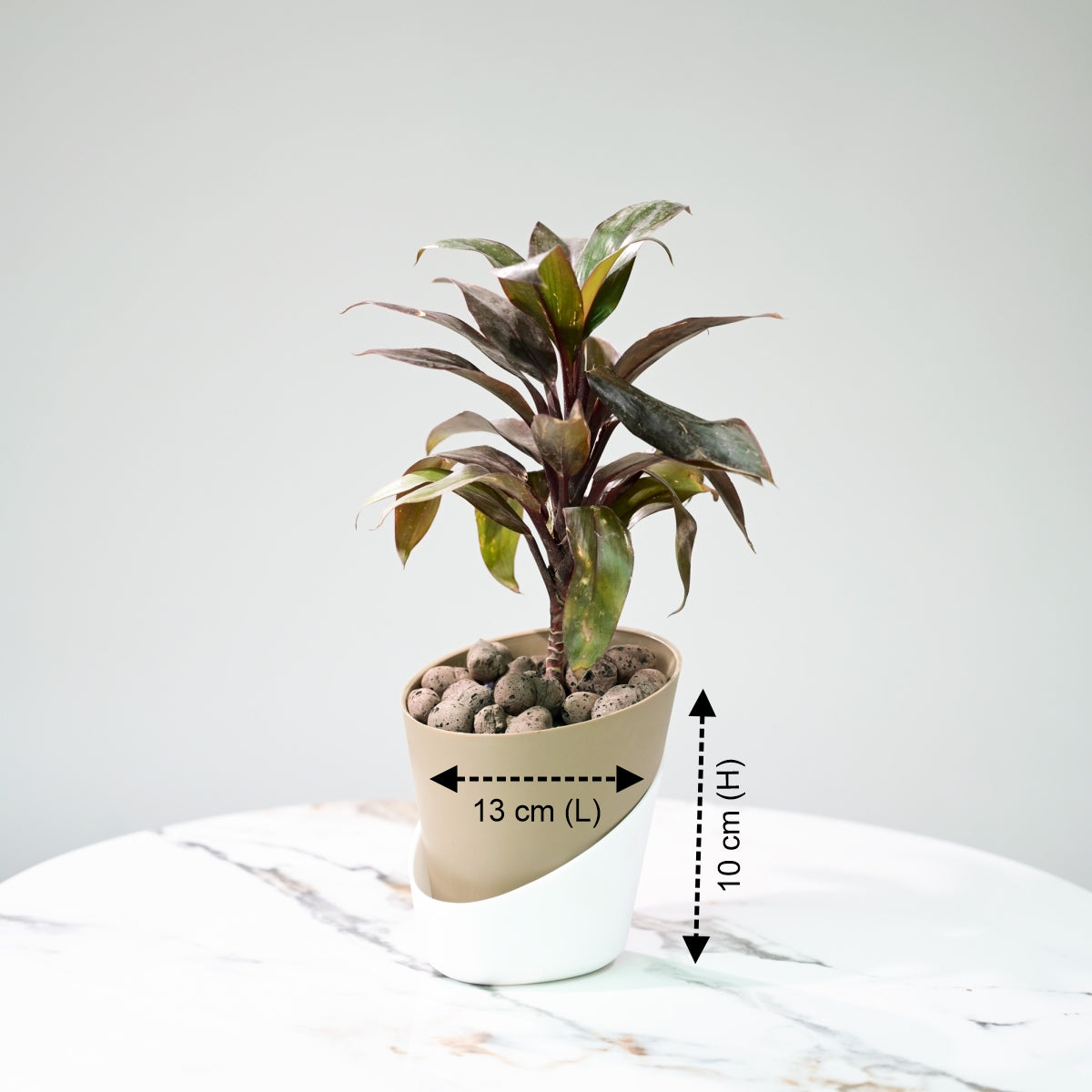 Duet Self Watering Indoor Planters