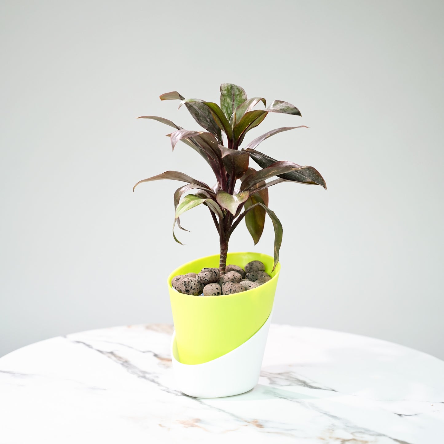 Duet Self Watering Indoor Planters