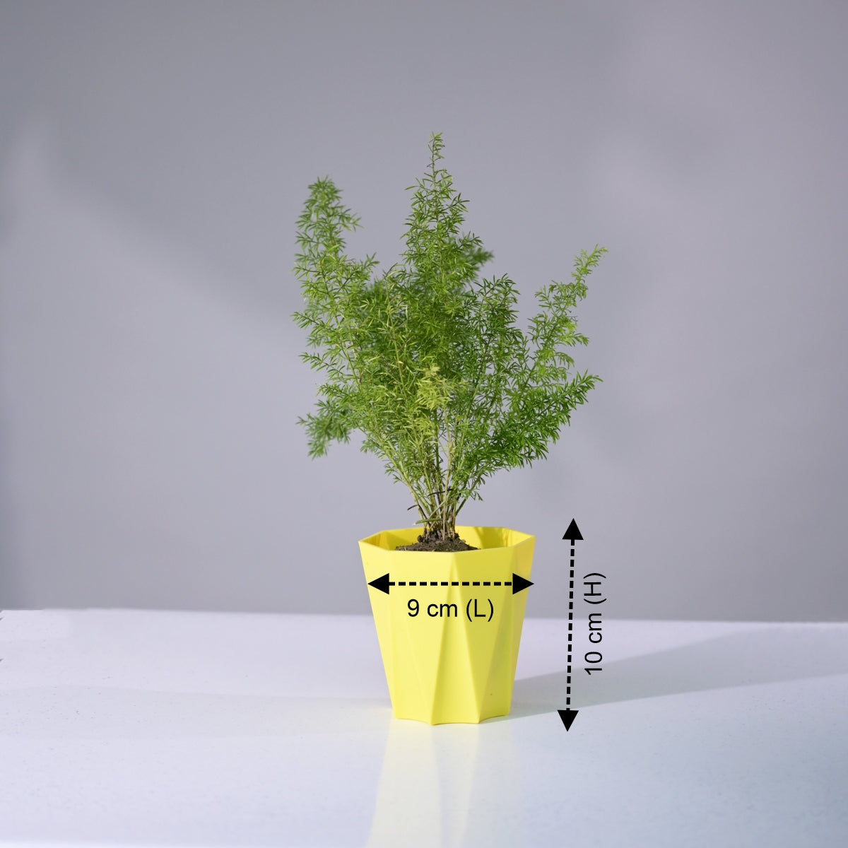 Prism Decorative Planters