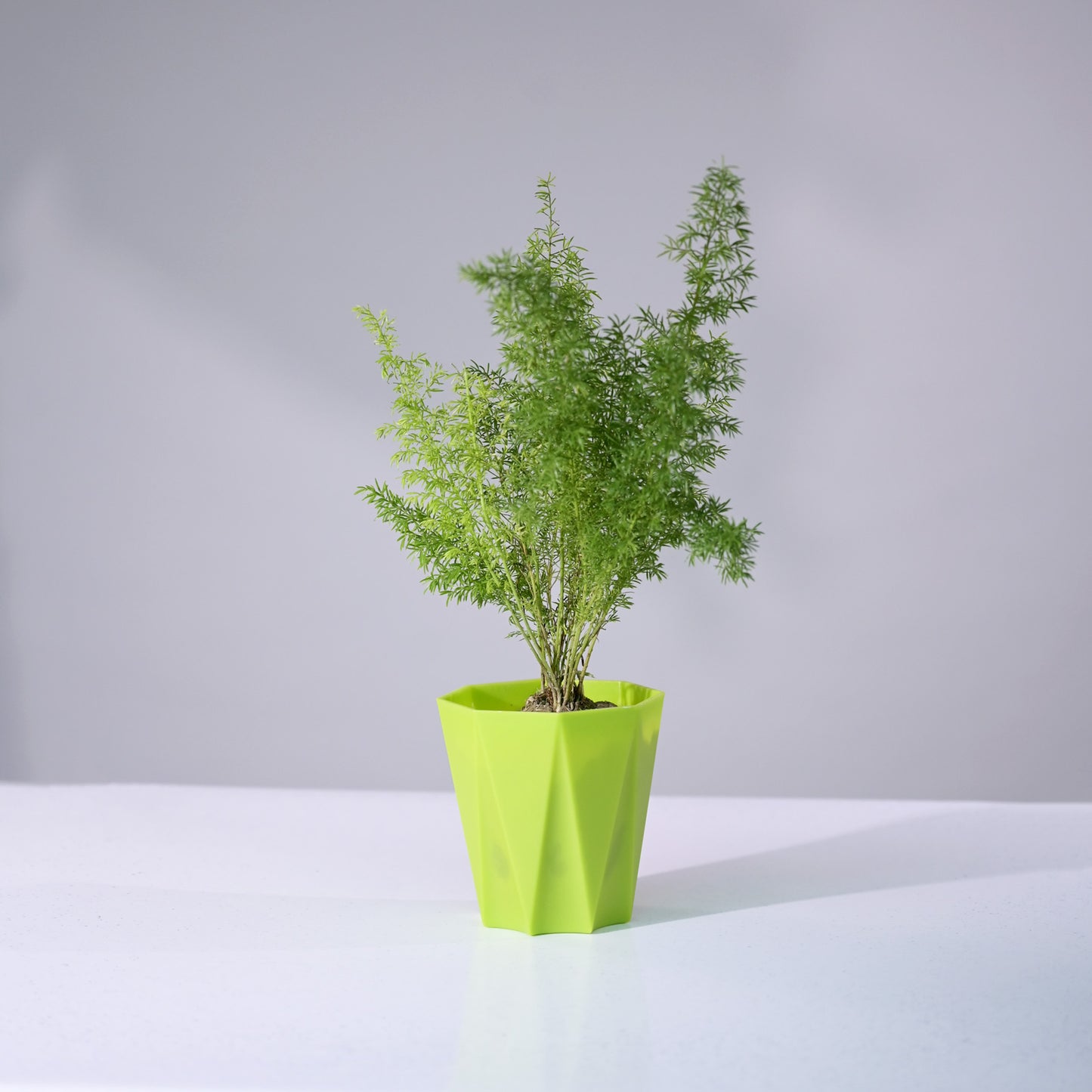 Prism Decorative Planters