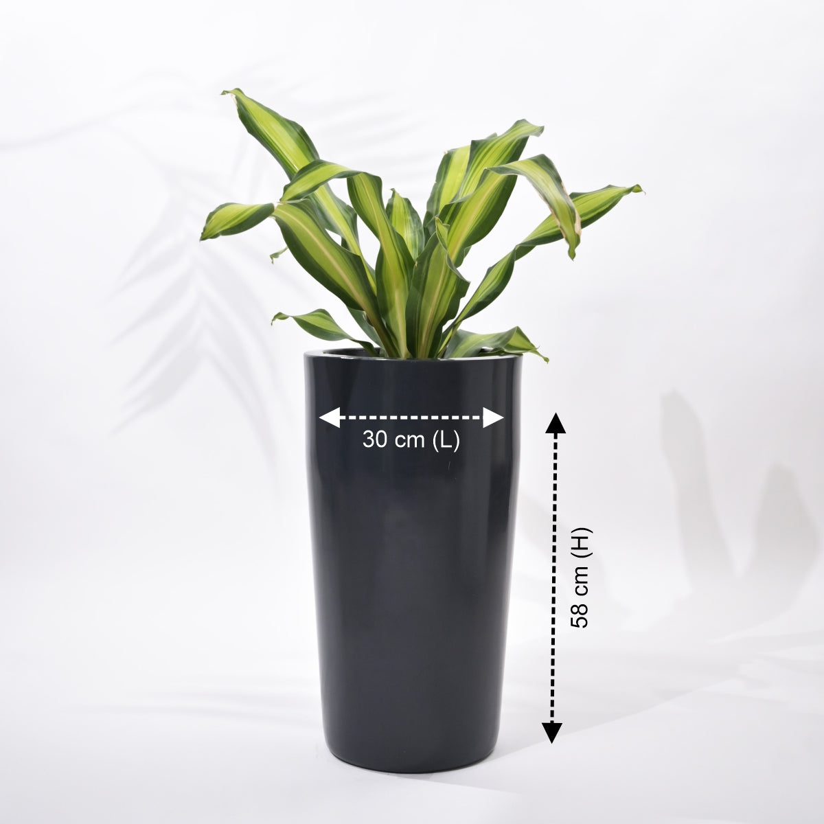 Cylindro Floor Planter