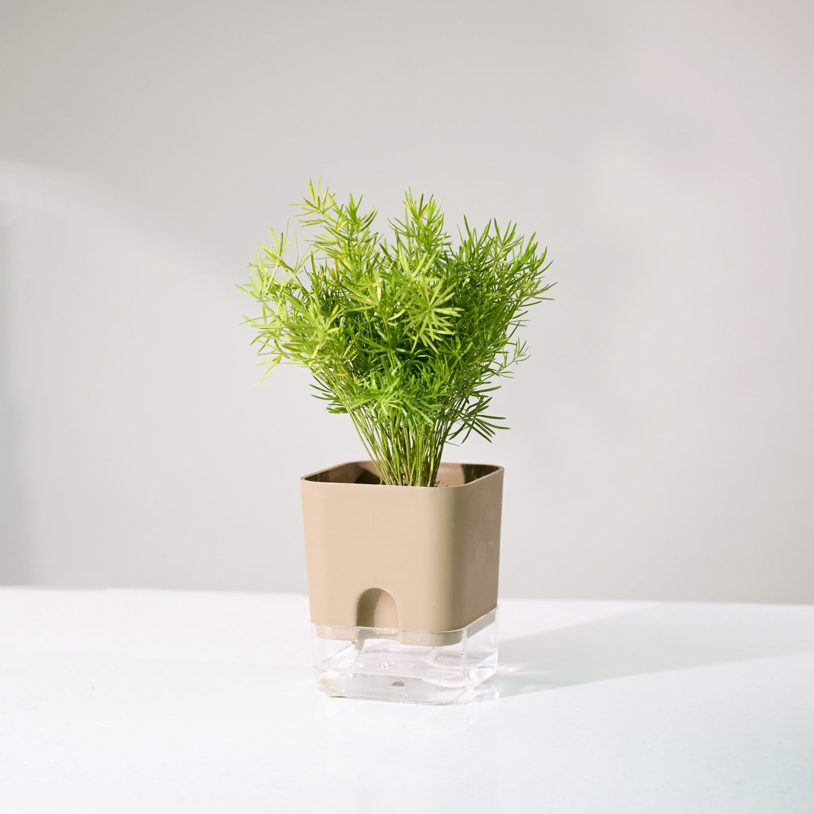 desk plant pot Gateway Flower Pot For Office Desk