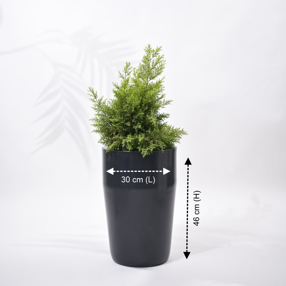 Cylindro Floor Planter