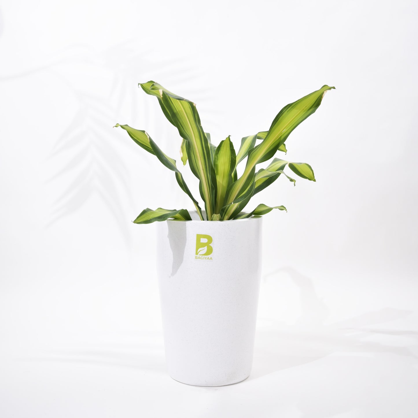 Cylindro Floor Planter