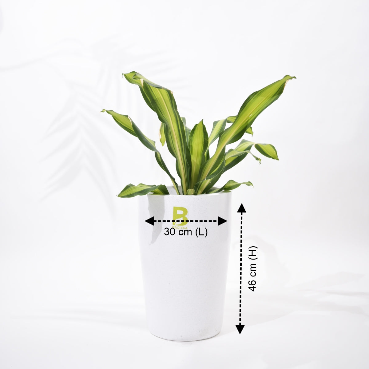 Cylindro Floor Planter