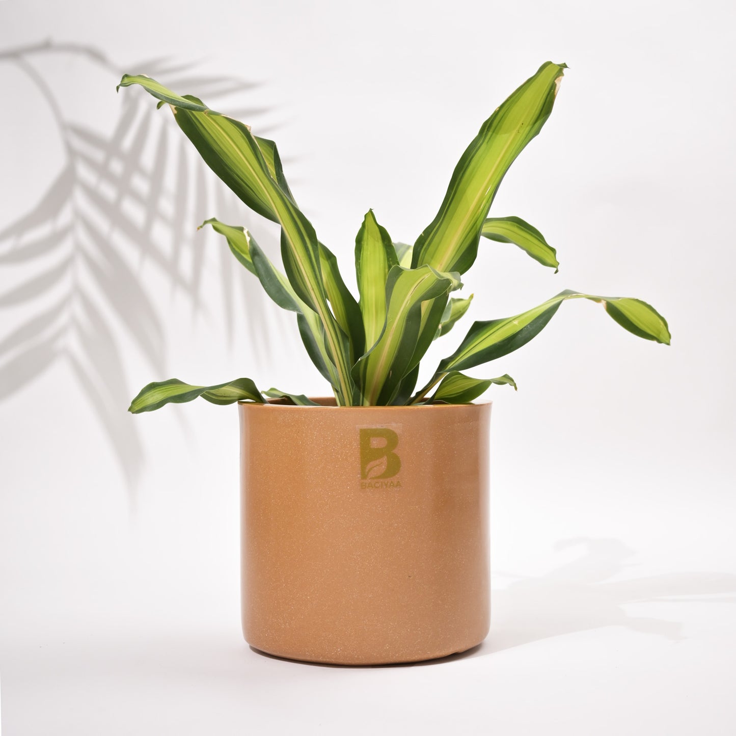 Cubical Round Big Flower Pot For Living Room