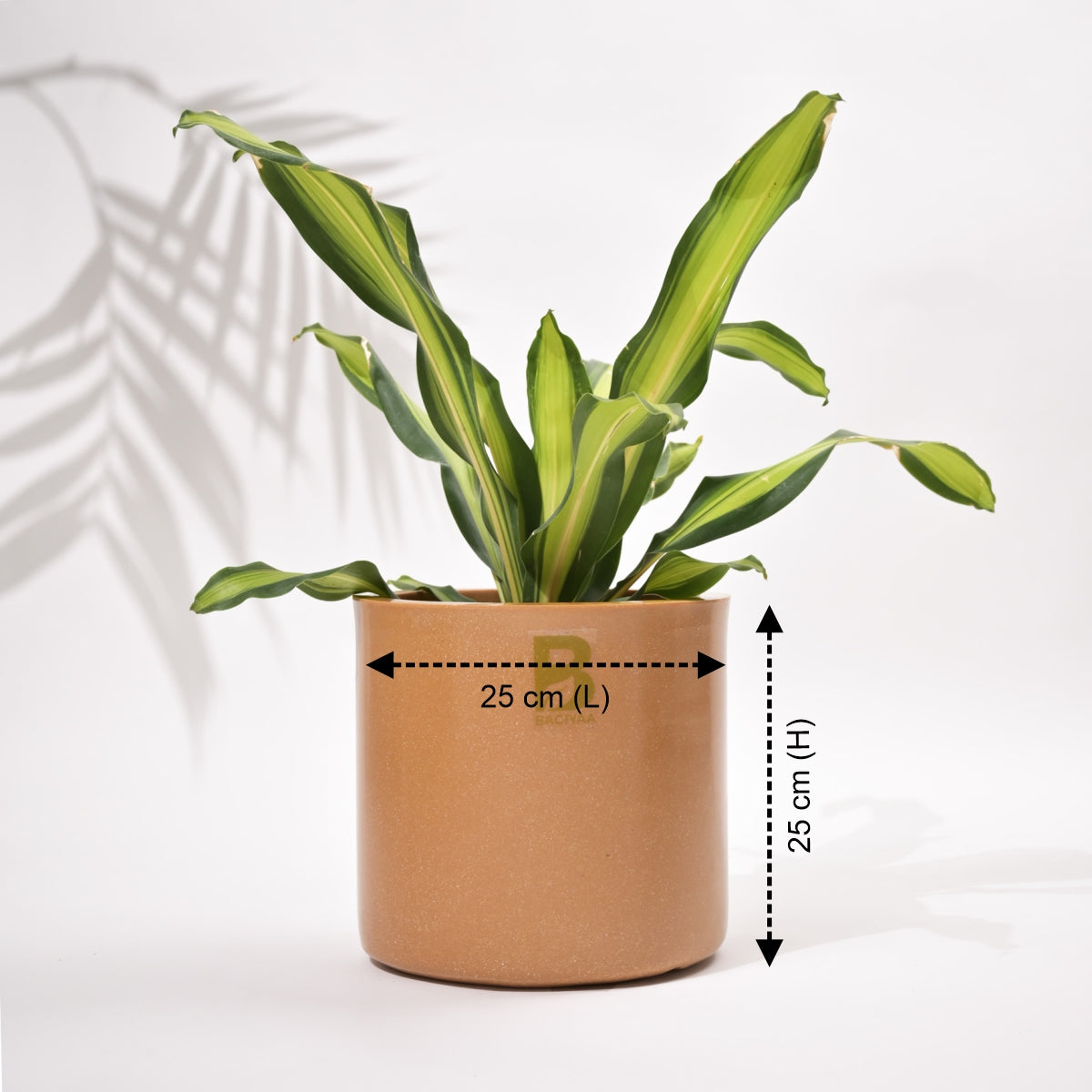 Cubical Round Big Flower Pot For Living Room