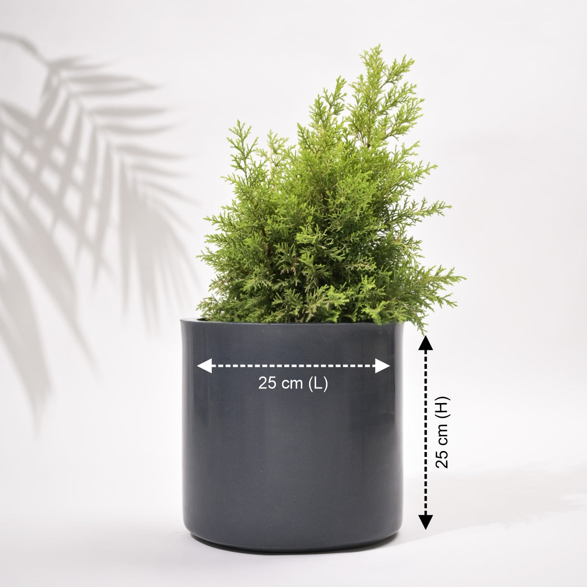 Cubical Round Big Flower Pot For Living Room