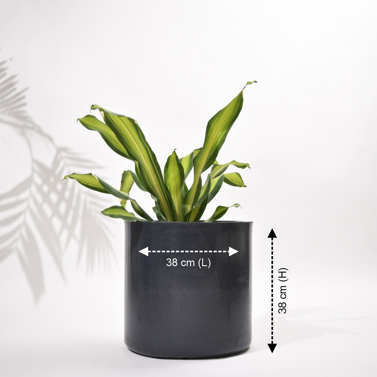 Cubical Round Big Flower Pot For Living Room
