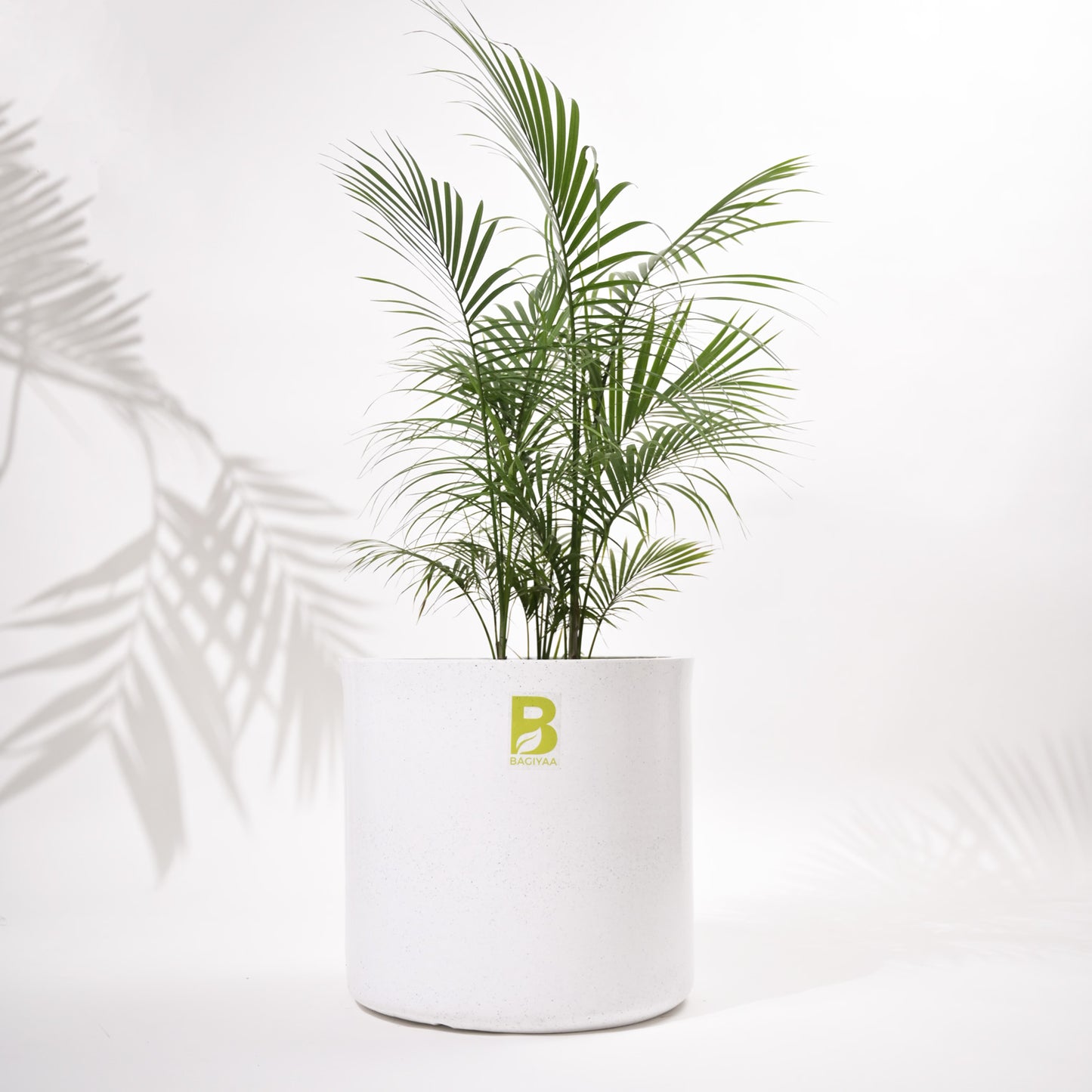 Cubical Round Big Flower Pot For Living Room