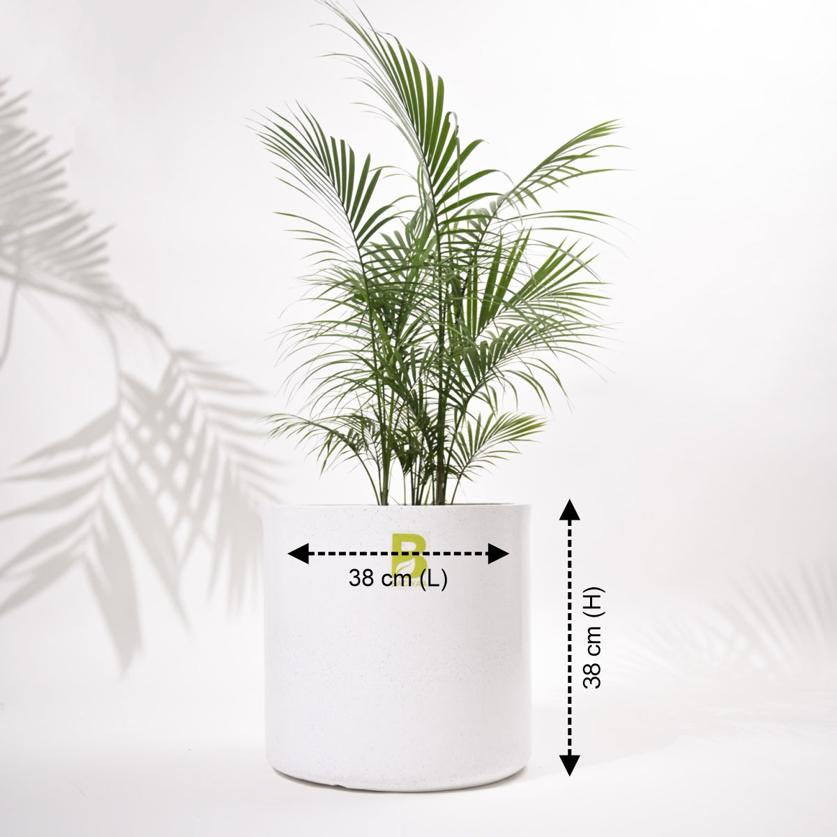 Cubical Round Big Flower Pot For Living Room