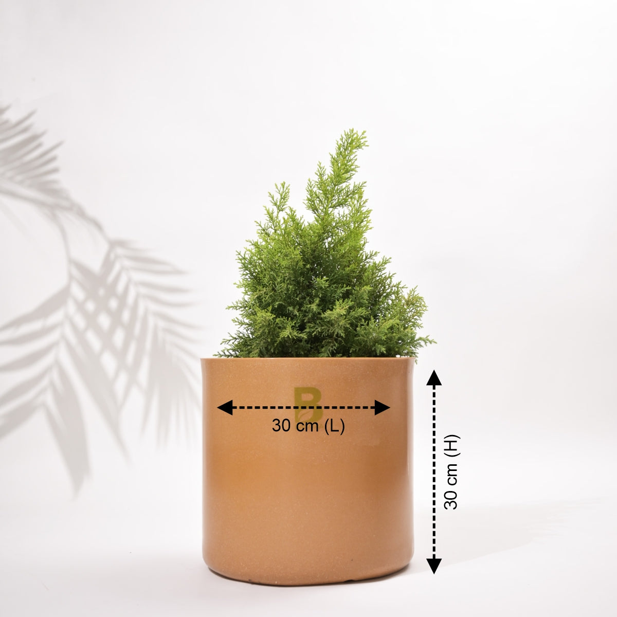 Cubical Round Big Flower Pot For Living Room
