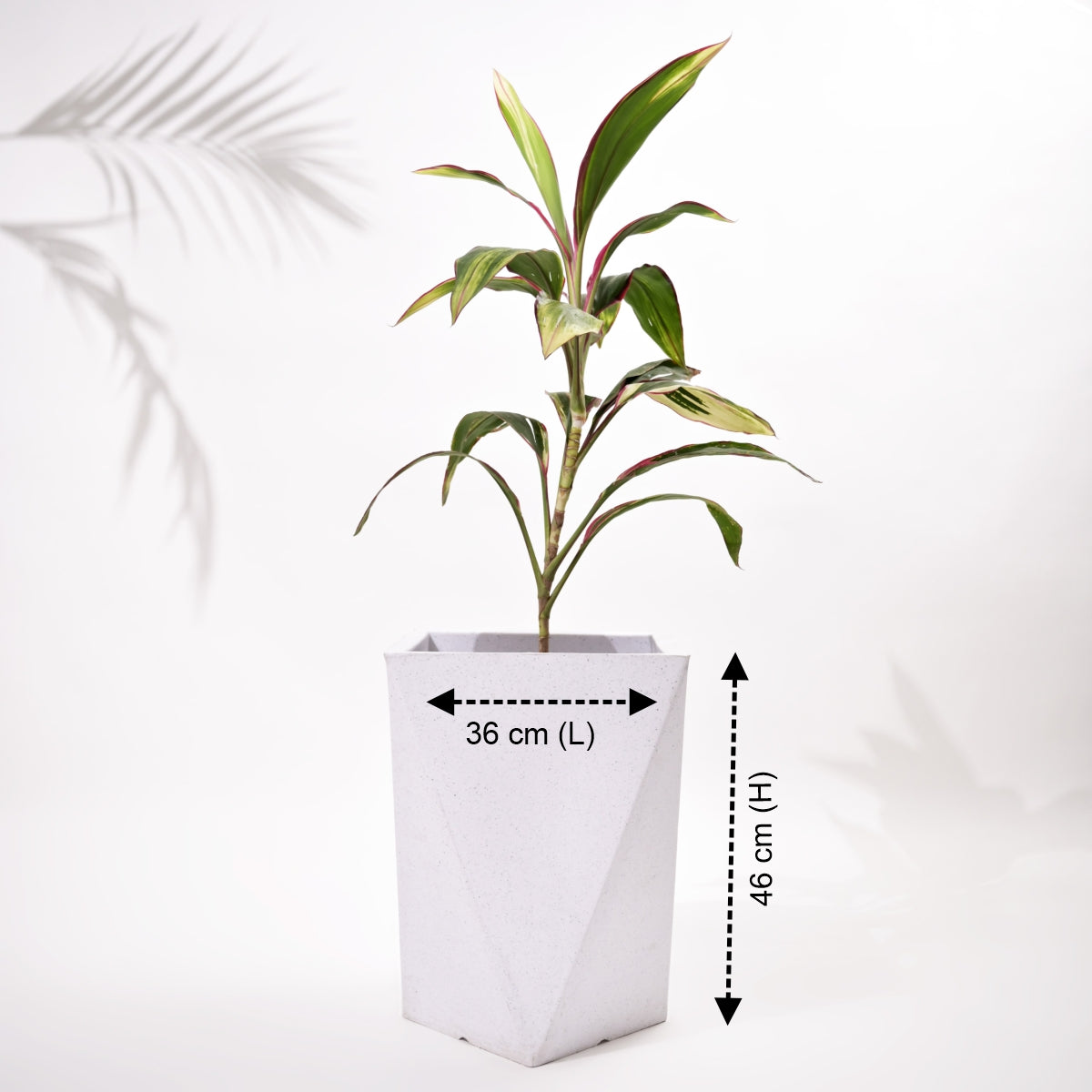Square Diamond Planter Big Size