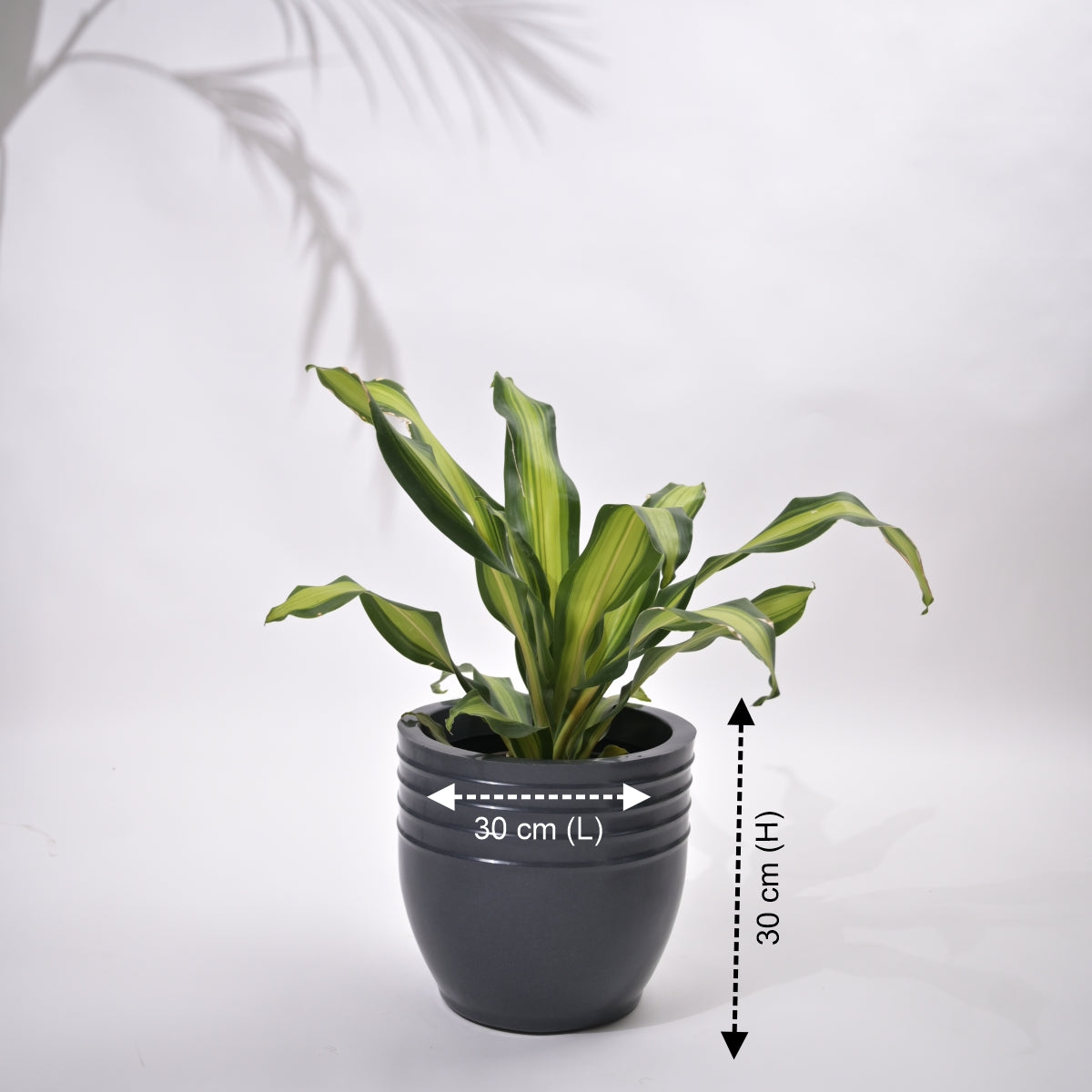 Rib Oval Small Planters