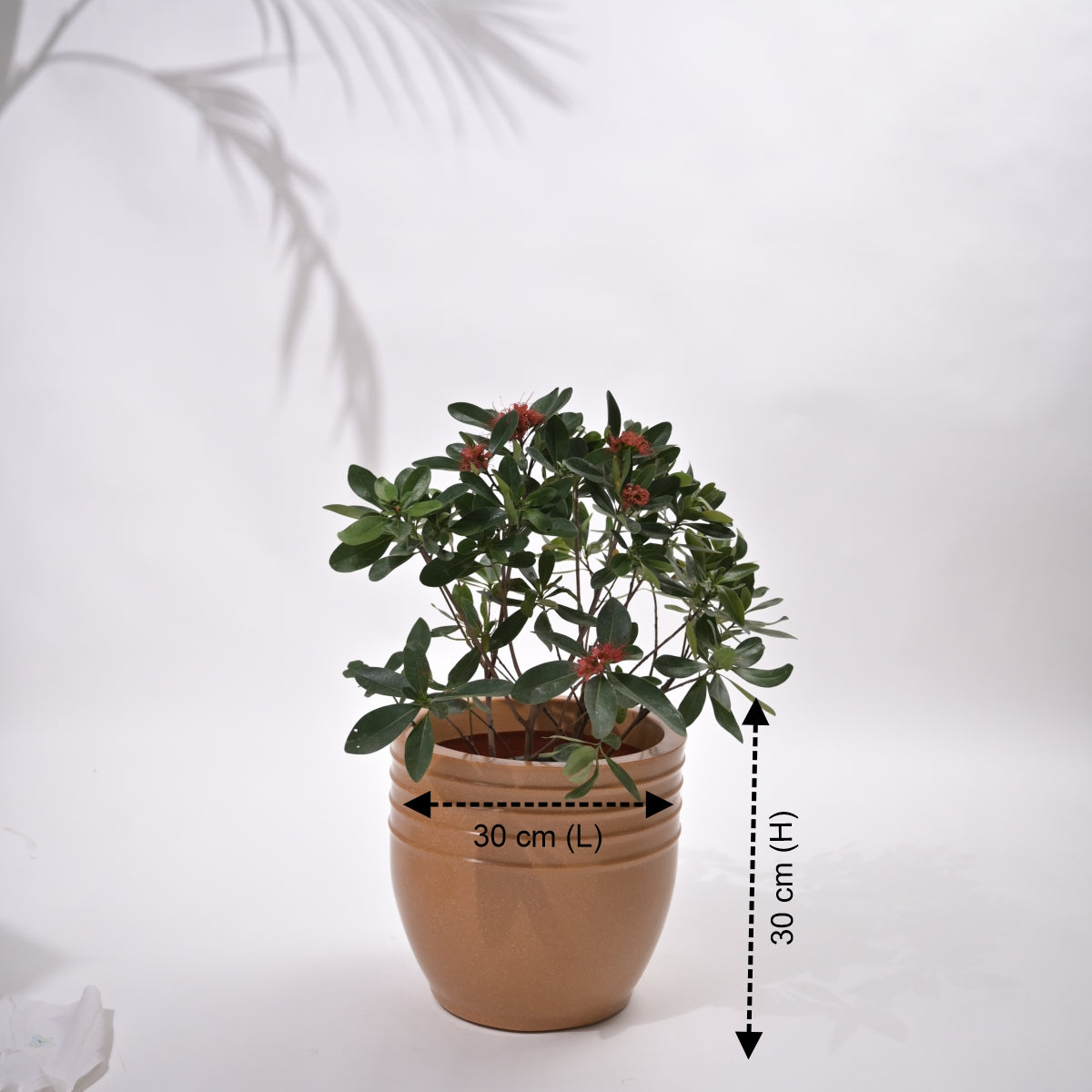 Rib Oval Small Planters