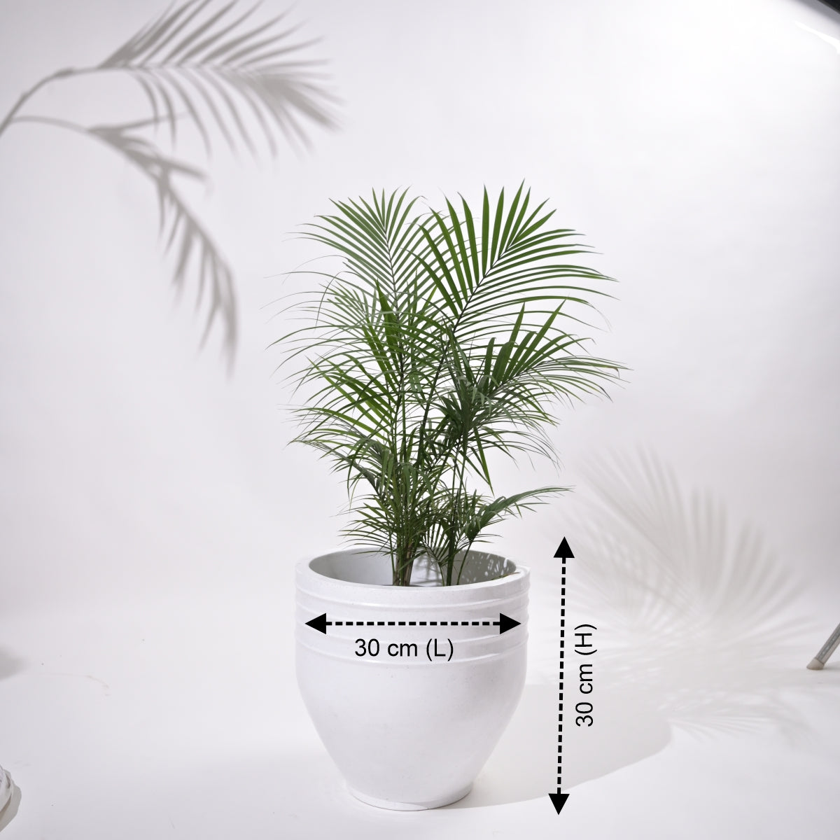 Rib Oval Small Planters