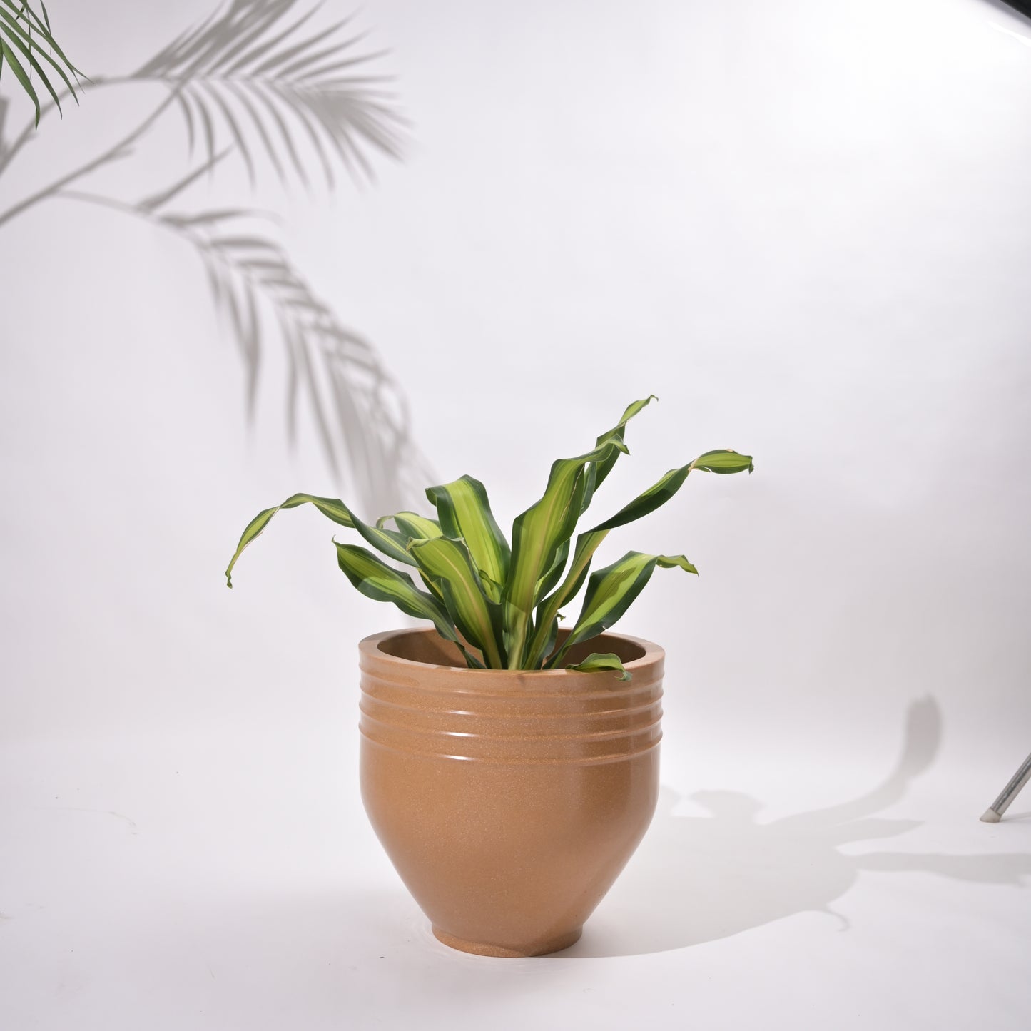 Rib Oval Small Planters