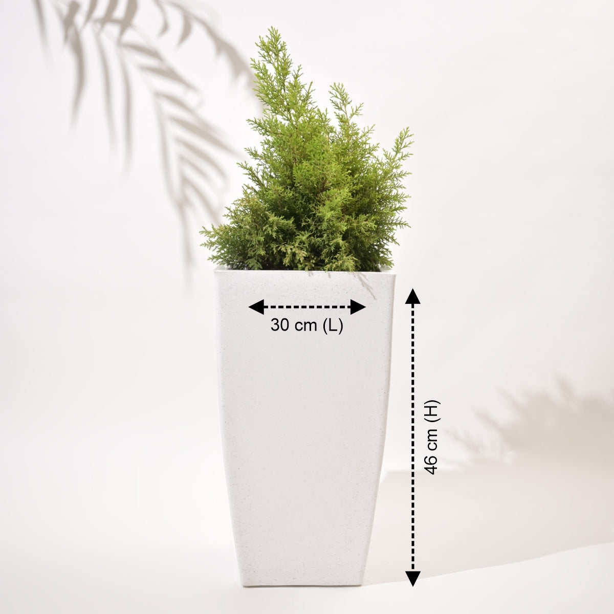 Bent Block Big Planters For Living Room