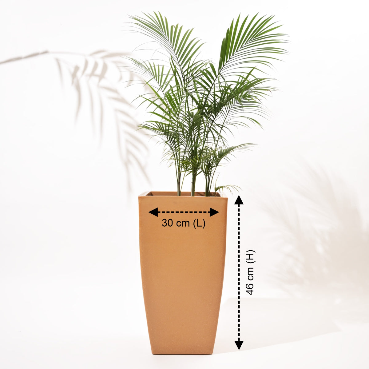 Bent Block Big Planters For Living Room