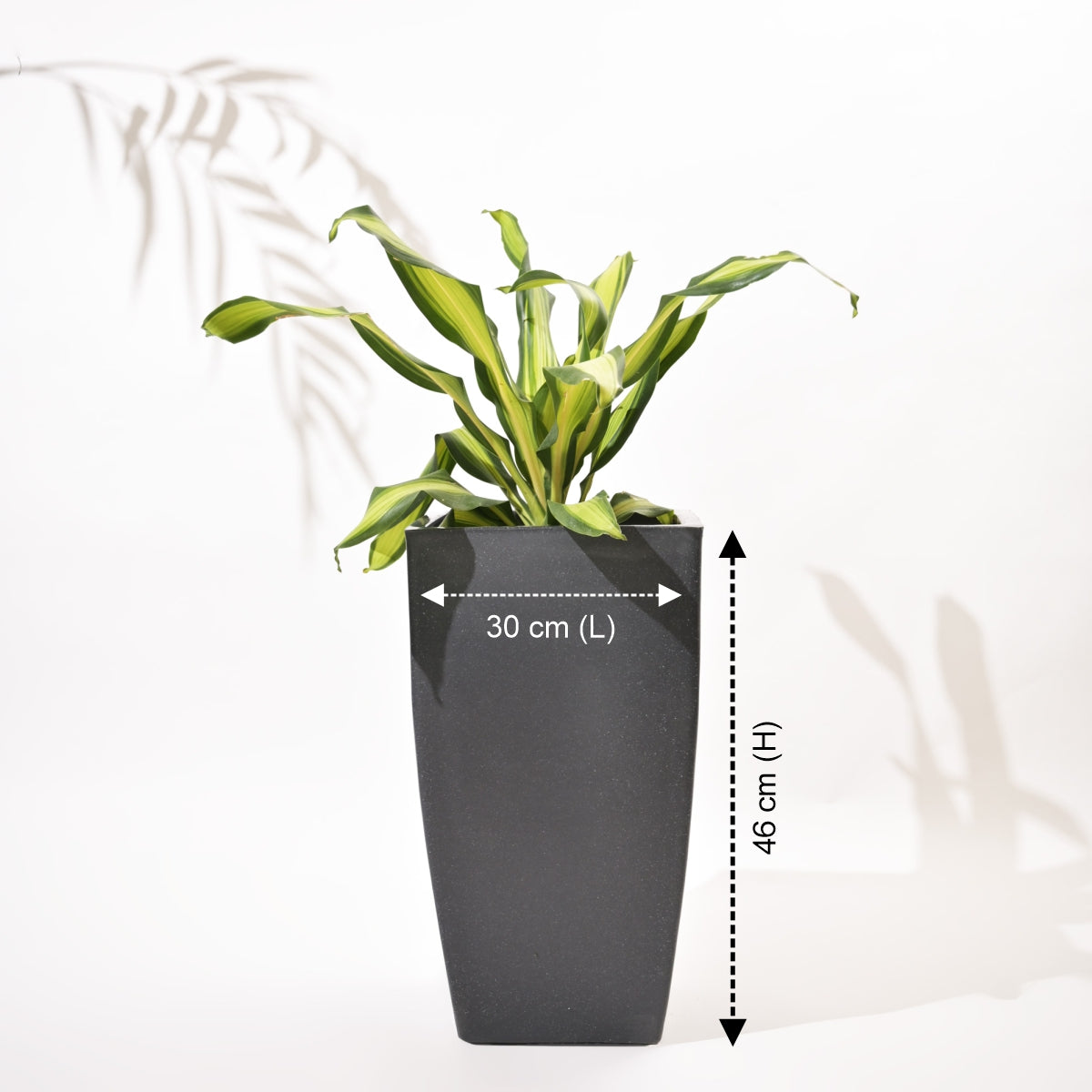 Bent Block Big Planters For Living Room