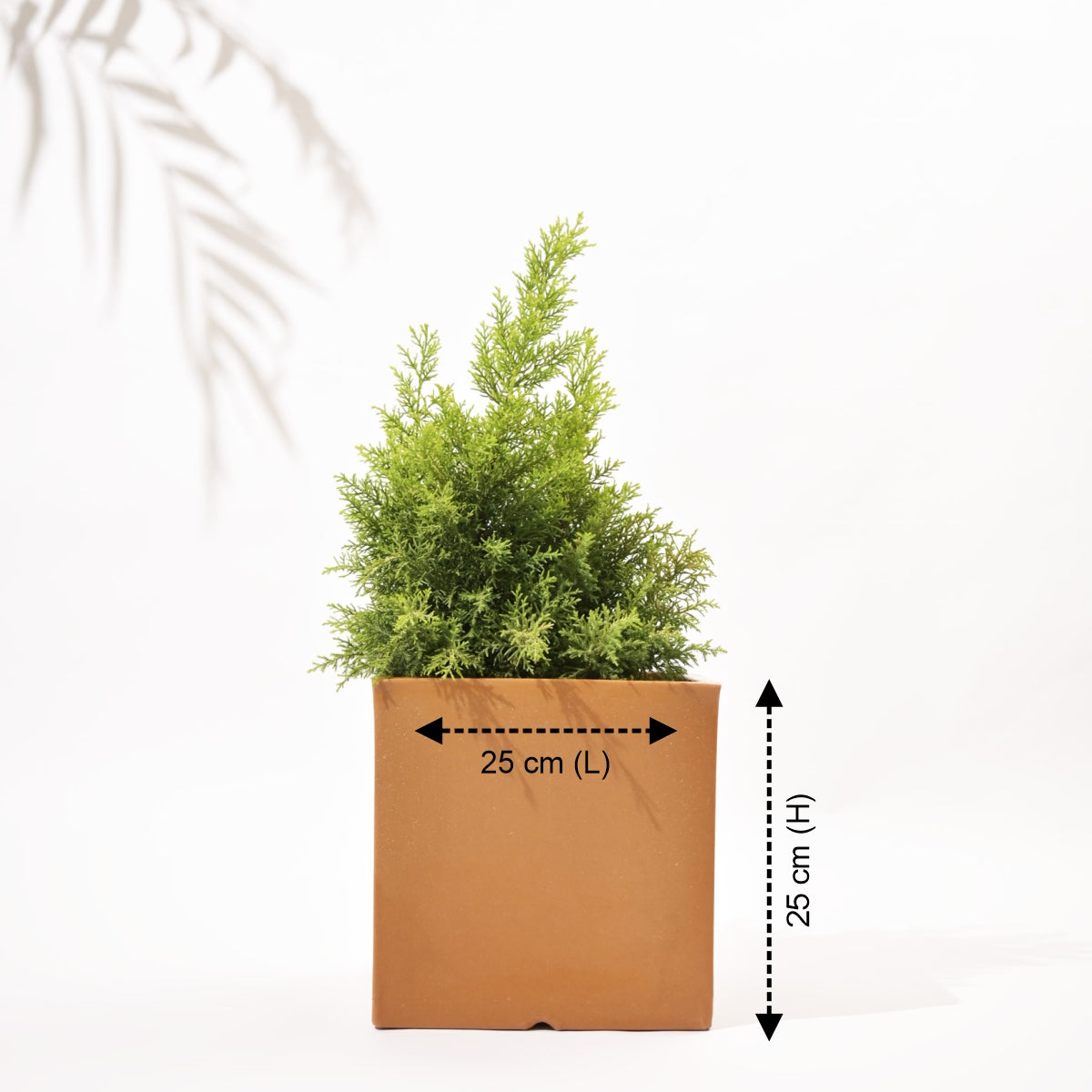 Cubical Square Flower Pot
