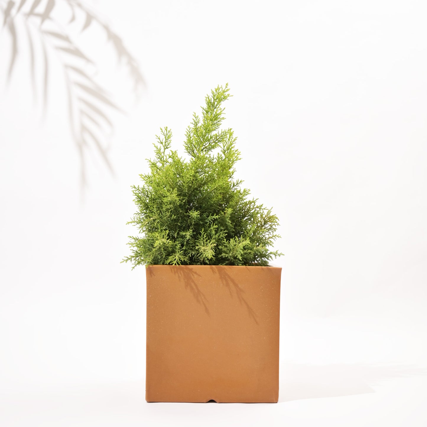 Cubical Square Flower Pot