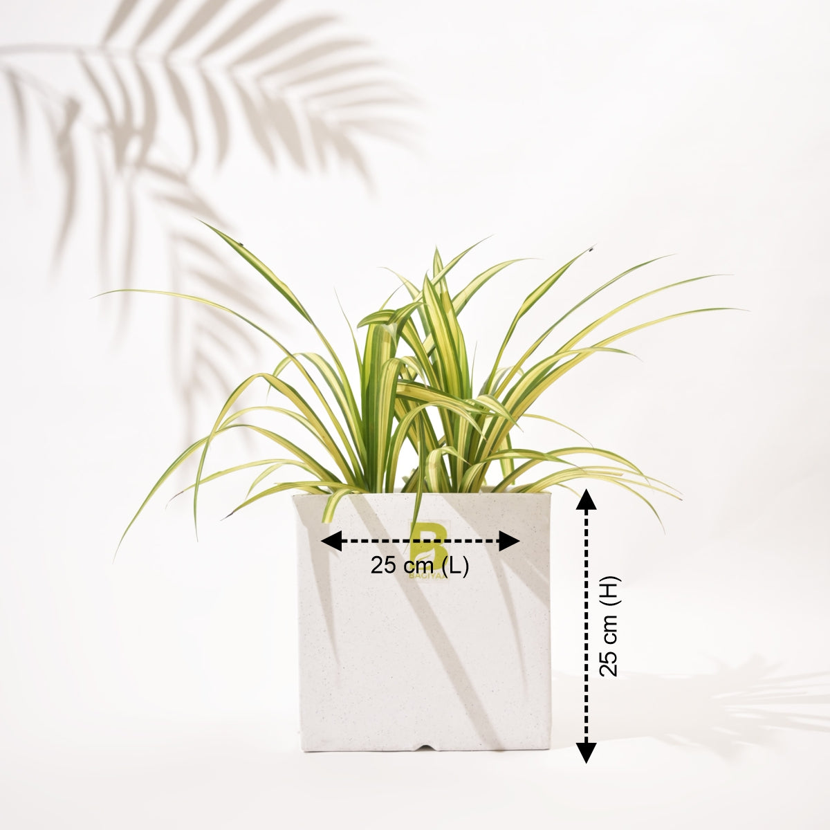 Cubical Square Flower Pot