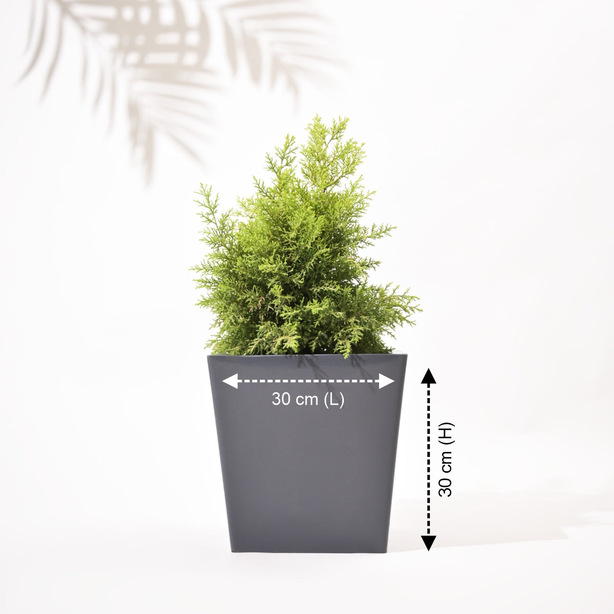 Bent Block Big Planters For Living Room