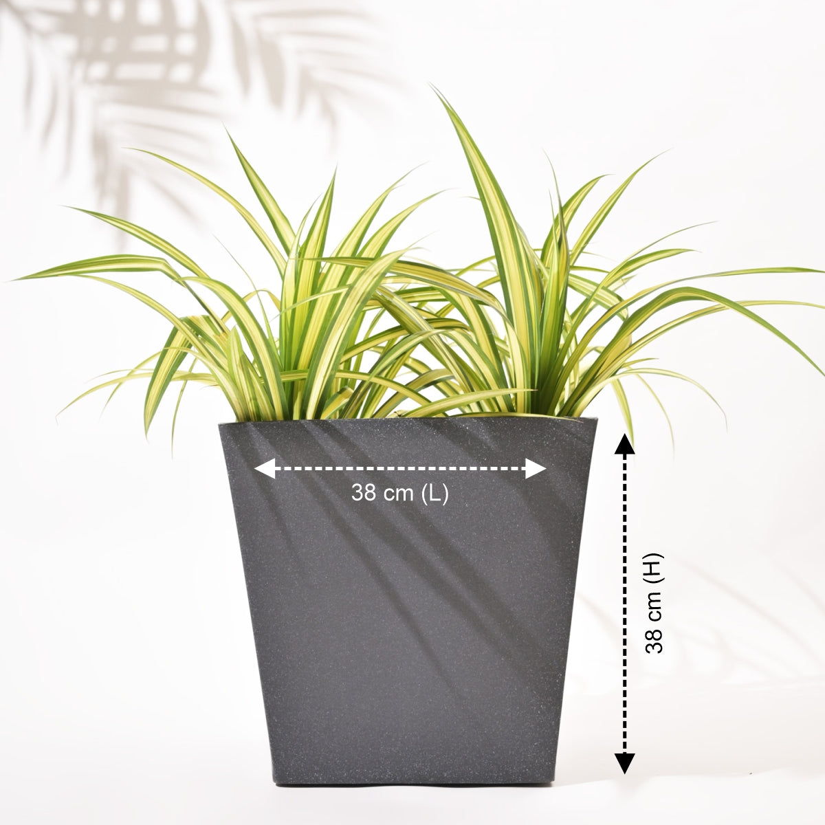 Bent Block Big Planters For Living Room
