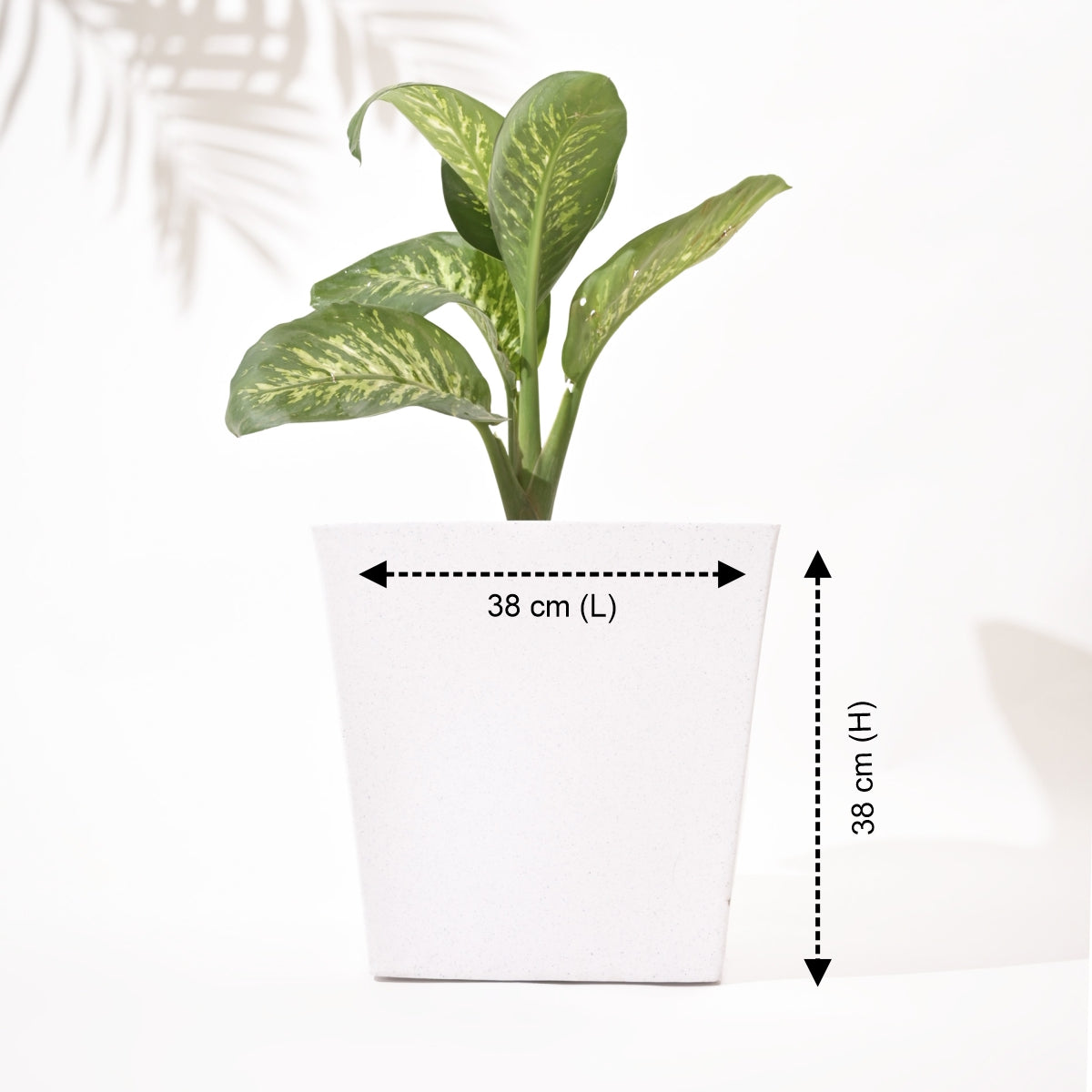 Bent Block Big Planters For Living Room