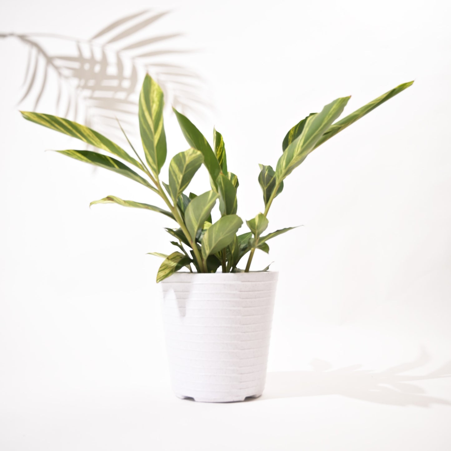 Rib Bucket Tower Rotomolded Planters