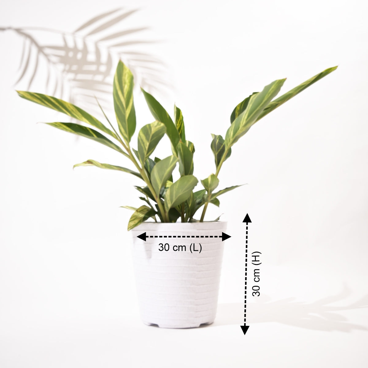 Rib Bucket Tower Rotomolded Planters